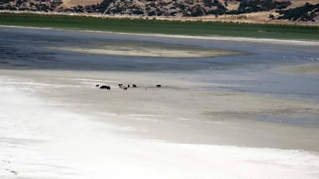 Eğirdir Gölü İkiye Ayrıldı! Doğal Cennet Can Çekişiyor 2